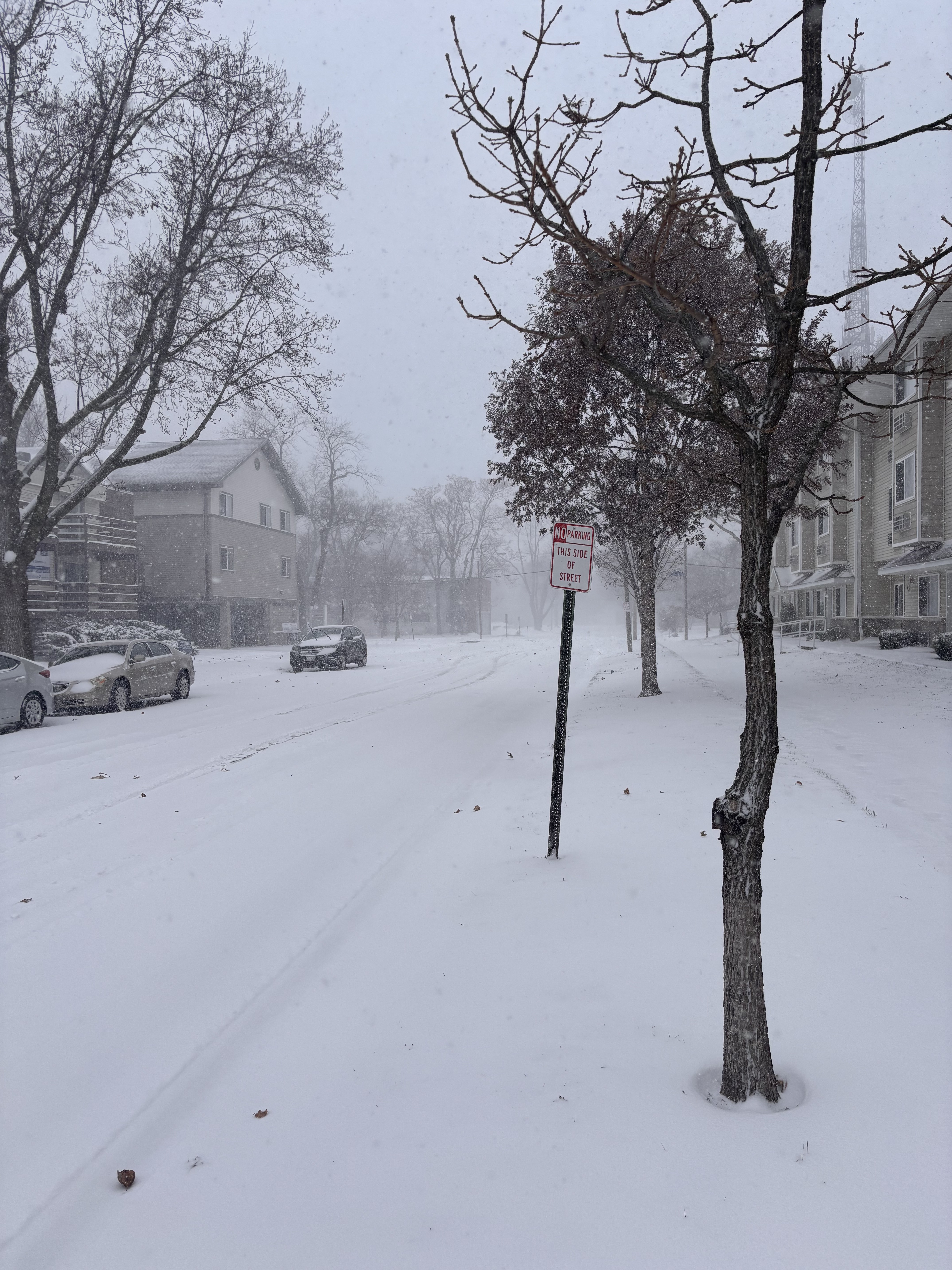 冬日的暴风雪